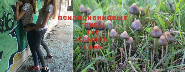 амф Алексеевка