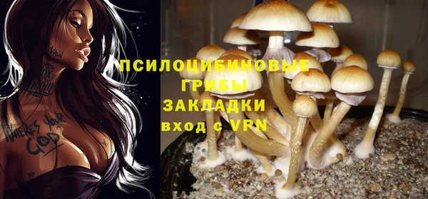 MDMA Алексин