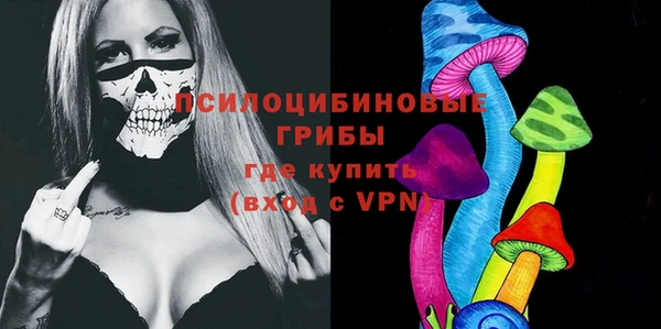 ECSTASY Алзамай