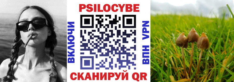 Псилоцибиновые грибы GOLDEN TEACHER  где купить наркоту  Боровск 